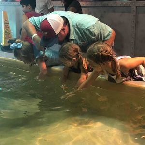 Meet your Posher, Tanner